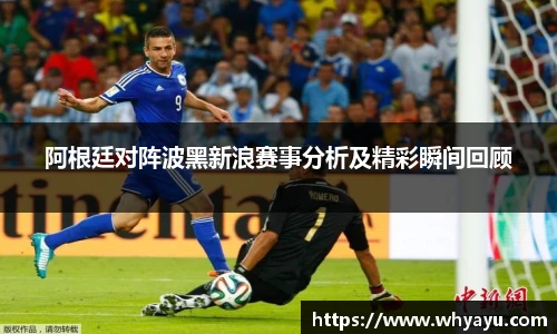 阿根廷对阵波黑新浪赛事分析及精彩瞬间回顾