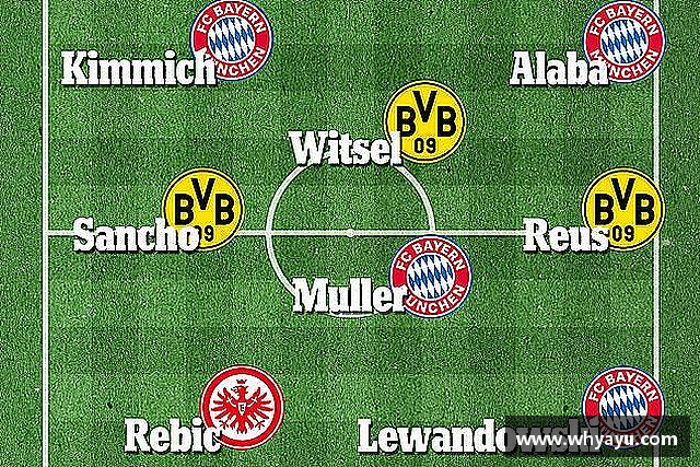 解读xc体育网址